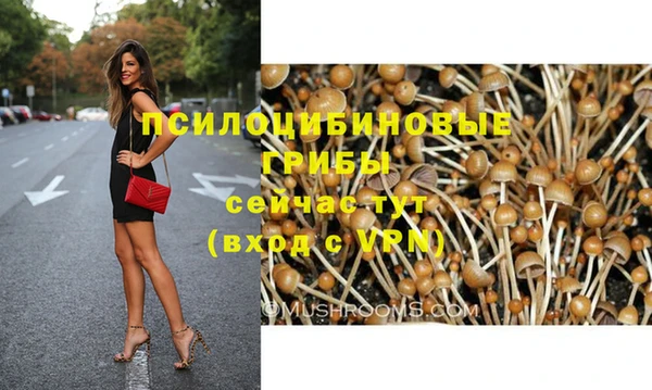 экстази Краснослободск