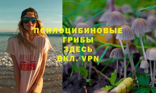 экстази Краснослободск