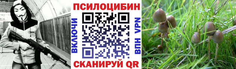 Псилоцибиновые грибы мухоморы  Горячеводский 